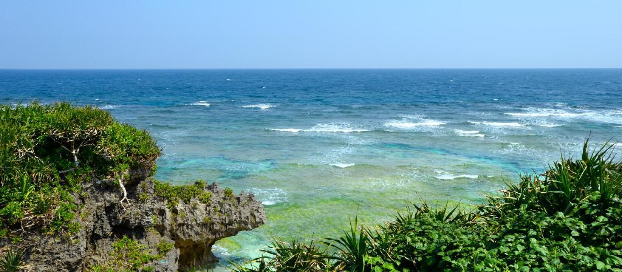 Wisteria Ocean